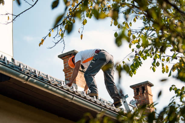 Best Roof Gutter Cleaning  in Windy Hills, KY